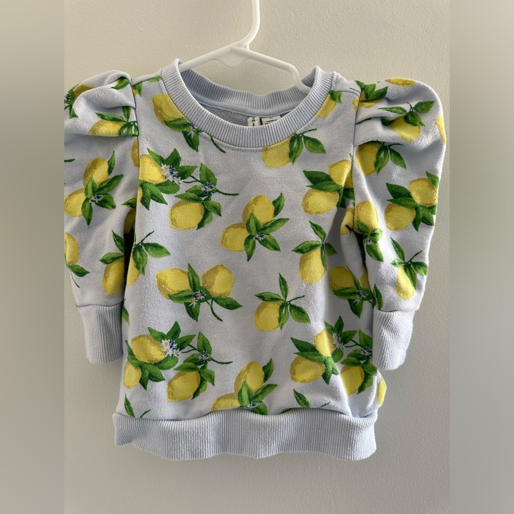 Janie and Jack Girls Sweatshirt Size 2T